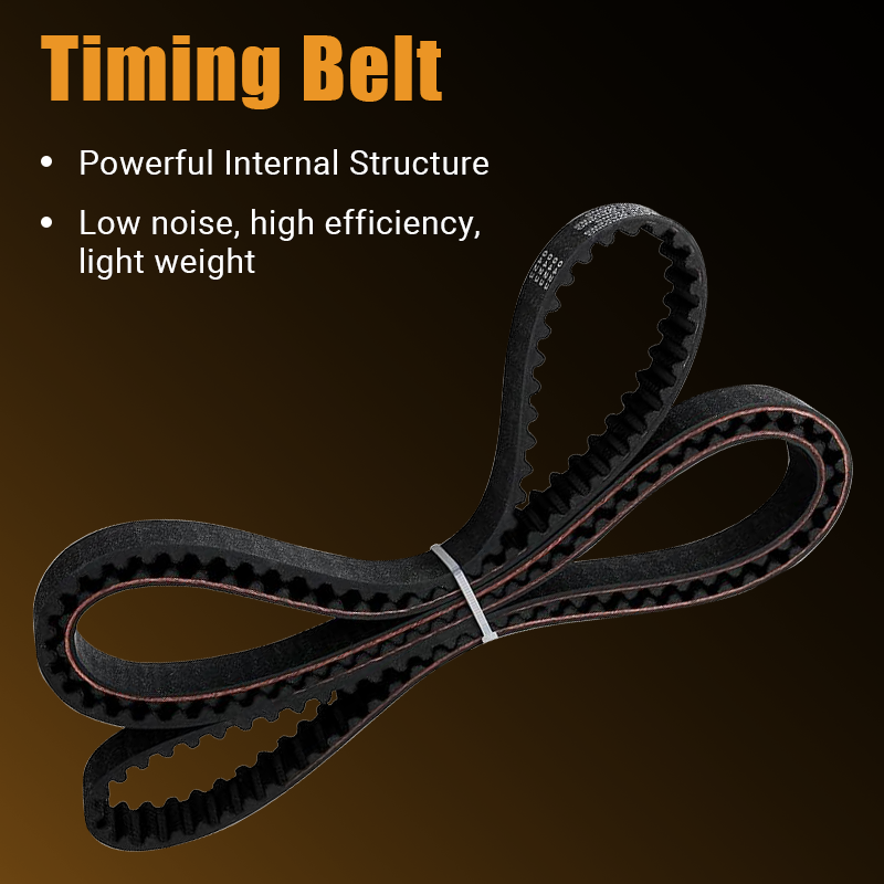 Close‑up view of timing belt and serpentine drive belt, highlighting durable internal belt construction