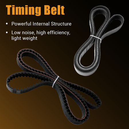 Close‑up view of timing belt and serpentine drive belt, highlighting durable internal belt construction